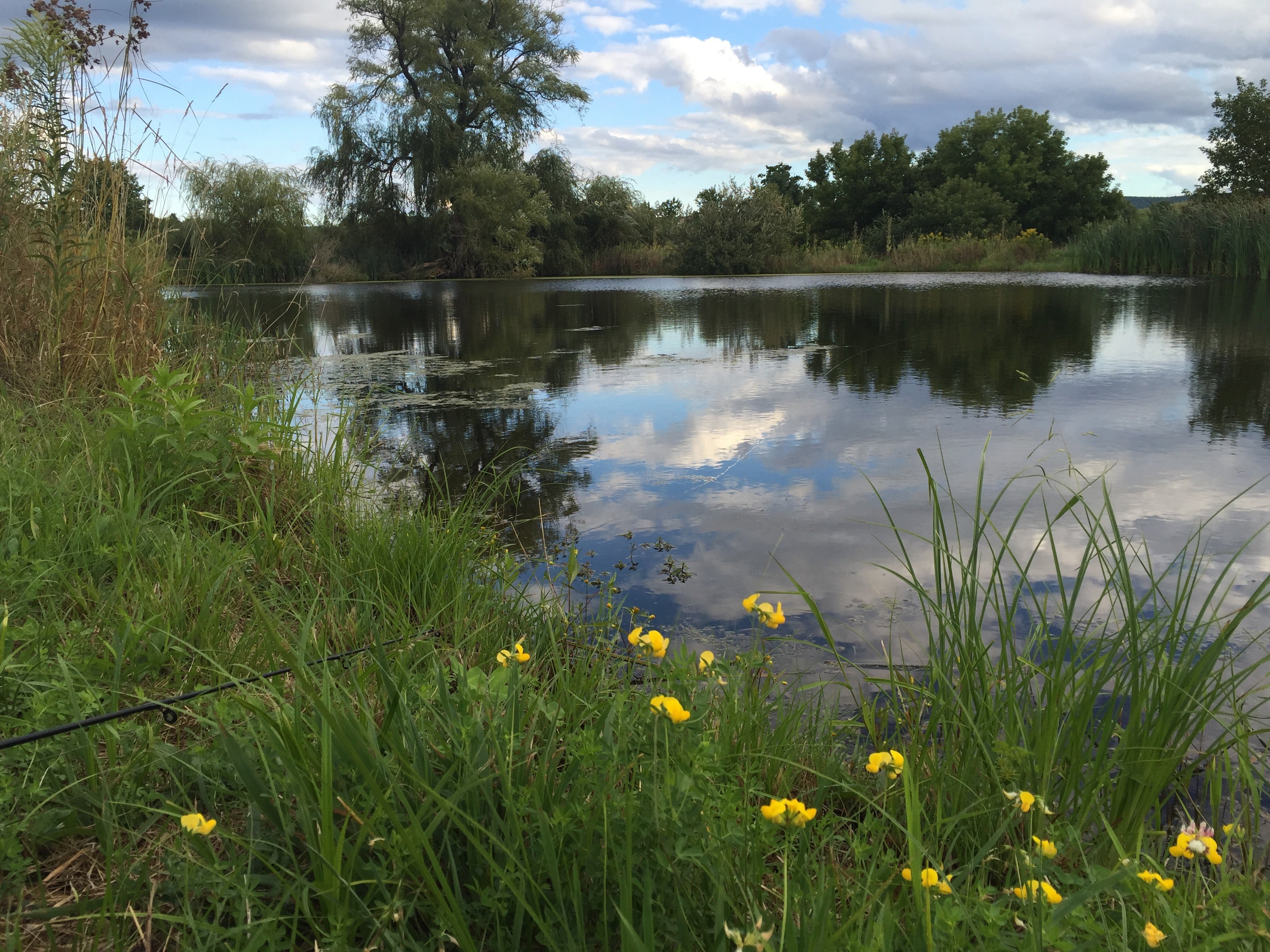 Spring-Fed Irrigation Nourishes a Smooth-Burning Hemp CBD