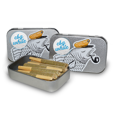 CBG White 15-Pack Tin